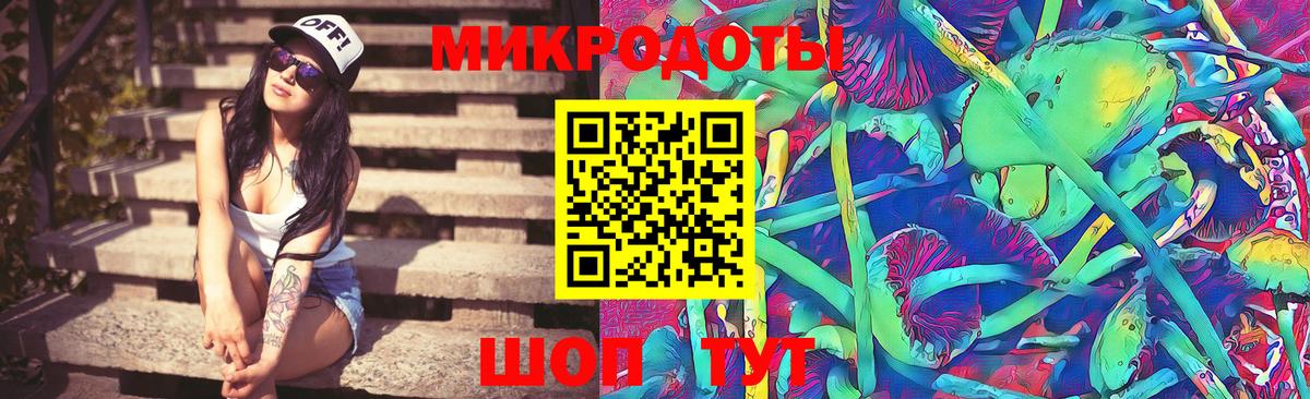 Псилоцибиновые грибы Psilocybine cubensis Димитровград